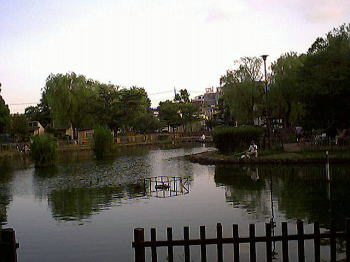公園内の釣り池