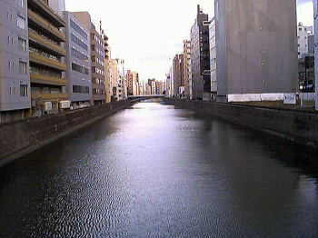 和泉橋から美倉橋を望む