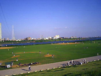 江戸川と野球場