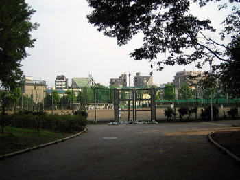 公園内の野球場