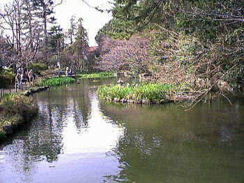 園内の池（１）