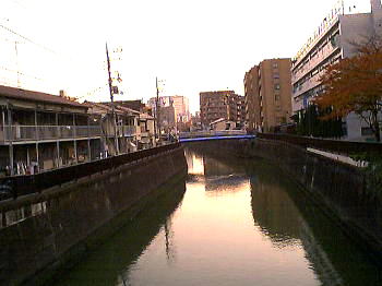 大平橋から呑川