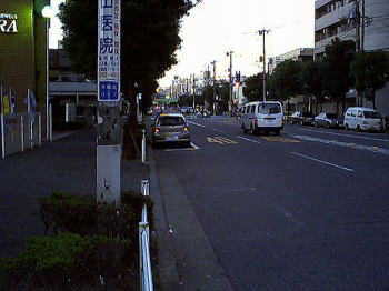 桜新道