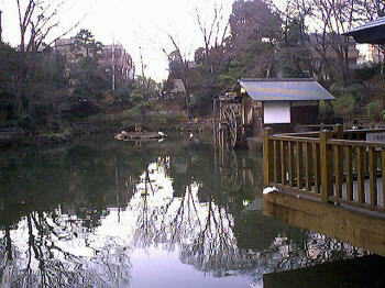 公園内の池と水車