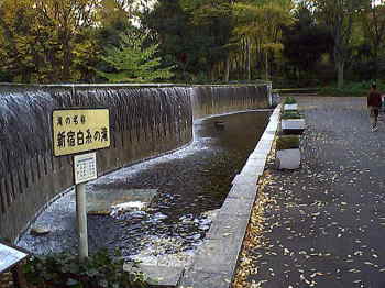新宿白糸の滝