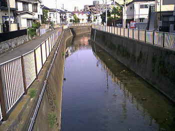 上水橋から神田川
