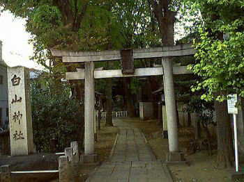 荻窪白山神社（１）