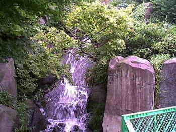 庭園内の滝